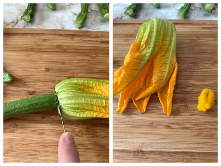 Ricotta Stuffed Zucchini Flowers Recipes from Italy
