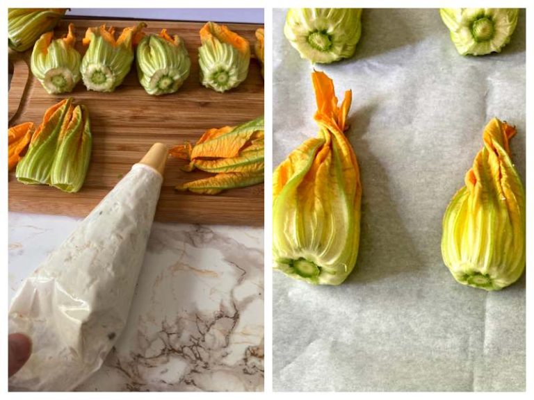 Ricotta Stuffed Zucchini Flowers Recipes from Italy