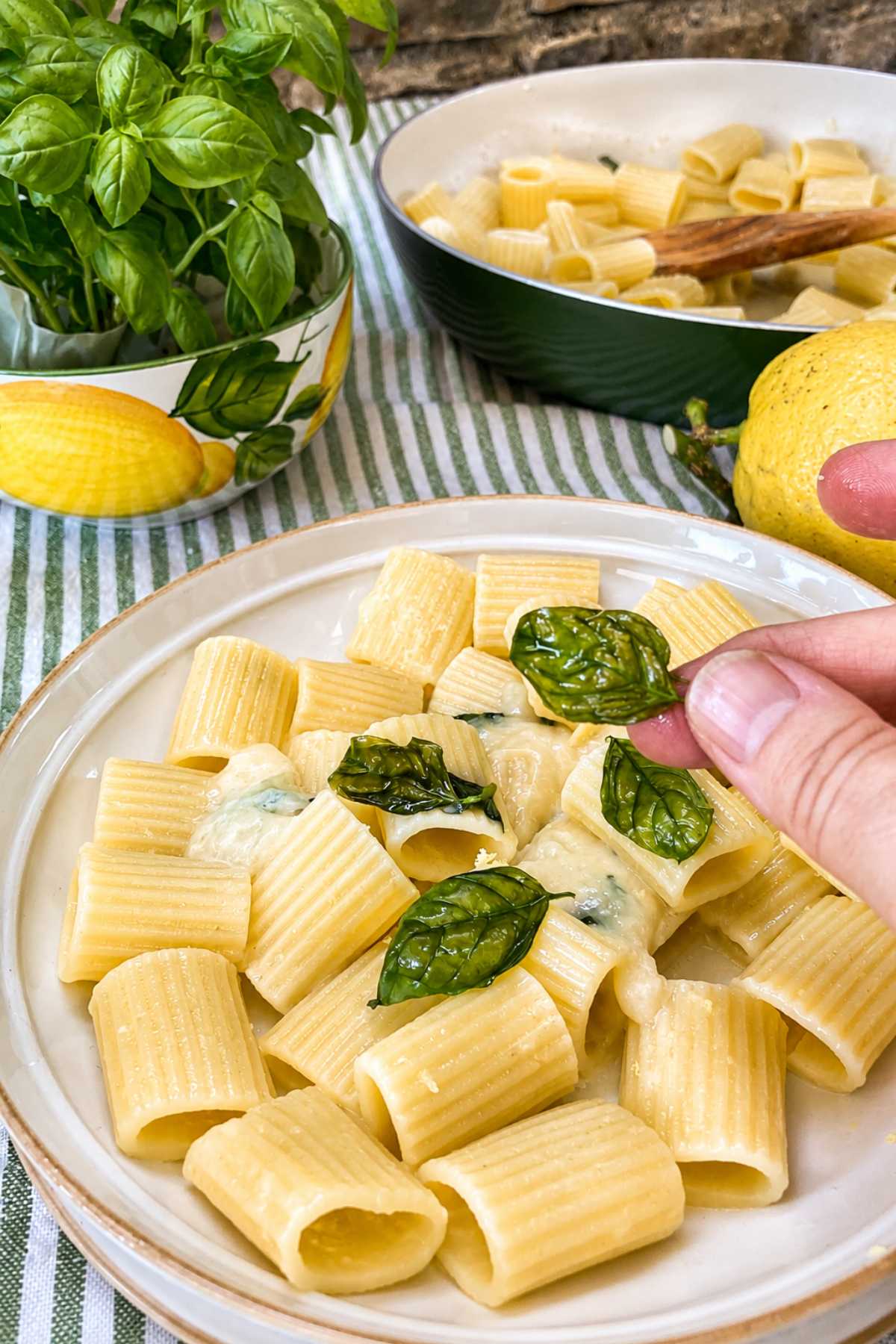 Pasta with Pecorino Cream, Lemon and Basil