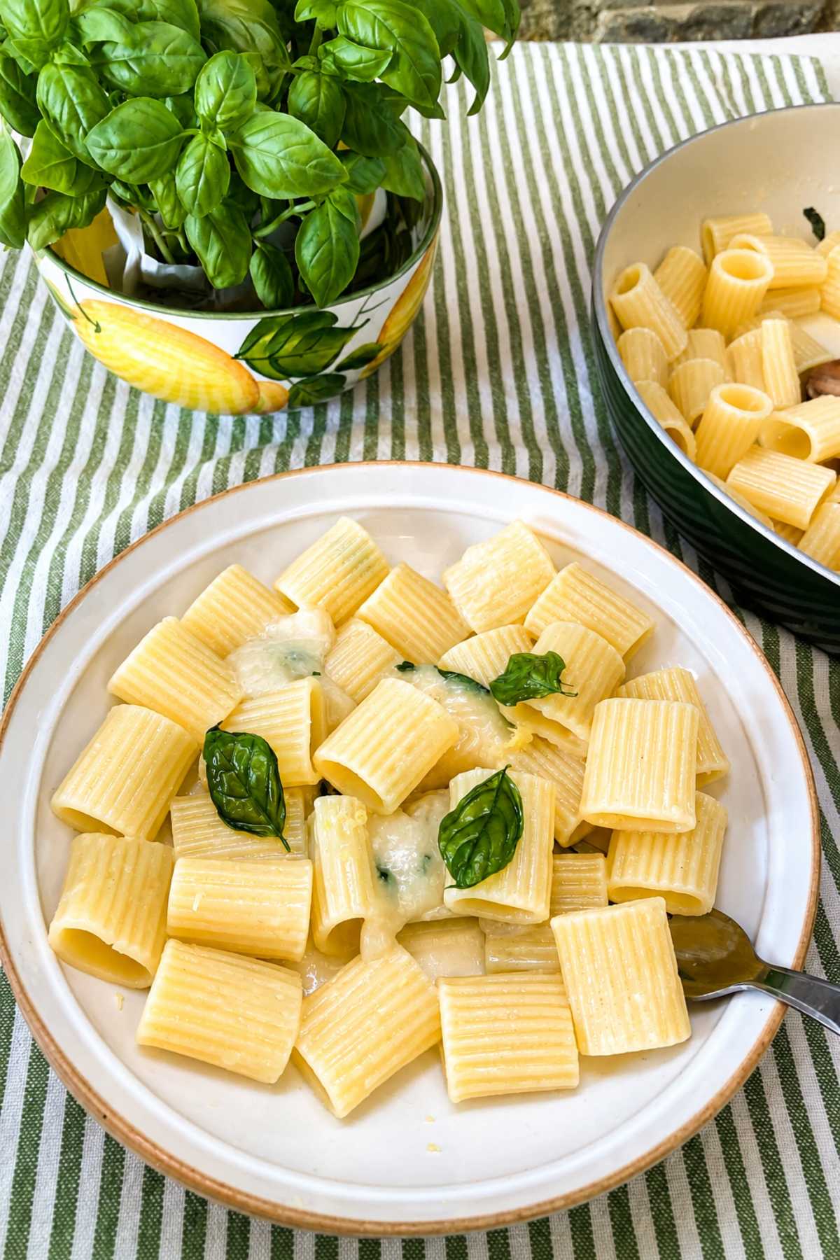 Pasta with Pecorino Cream, Lemon and Basil
