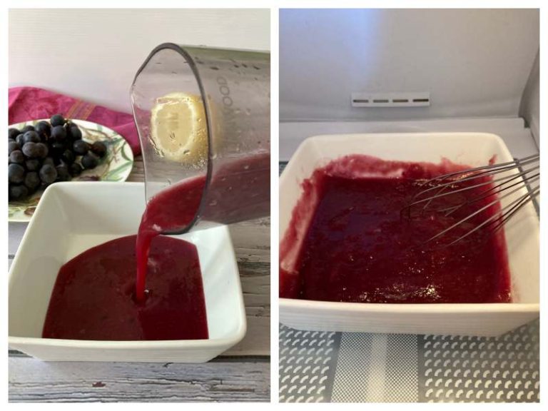 Concord Grape Sorbet Recipe Sorbetto all'Uva Fragola Recipes from Italy