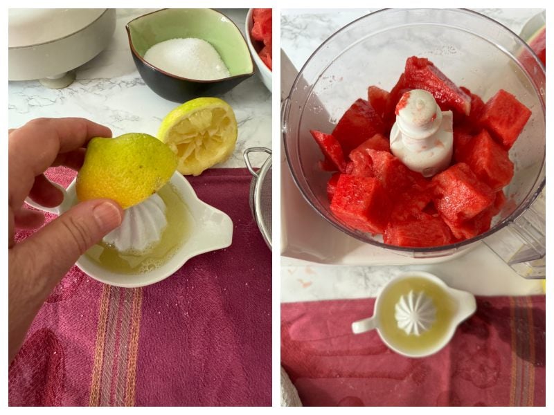 watermelon sorbet recipe step 2