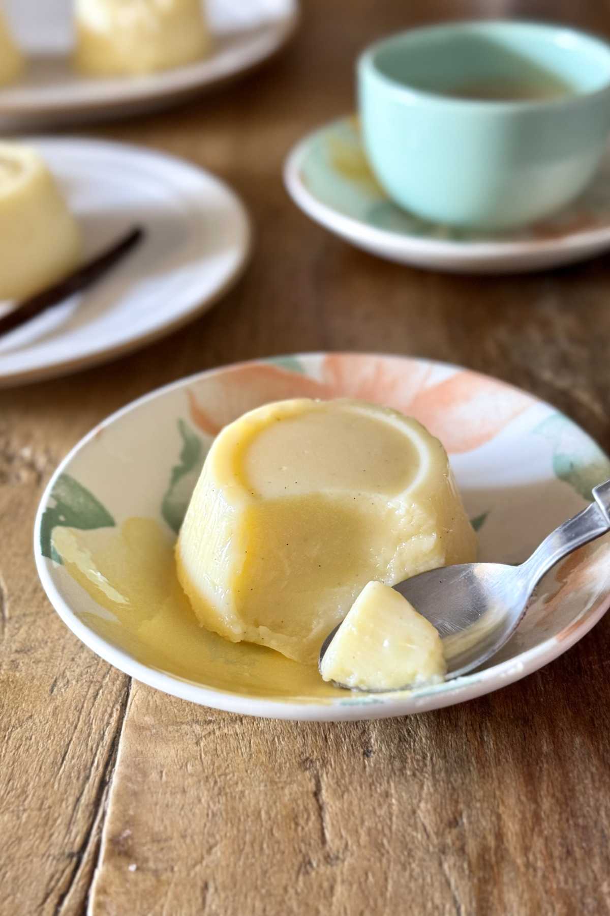 Italian vanilla pudding