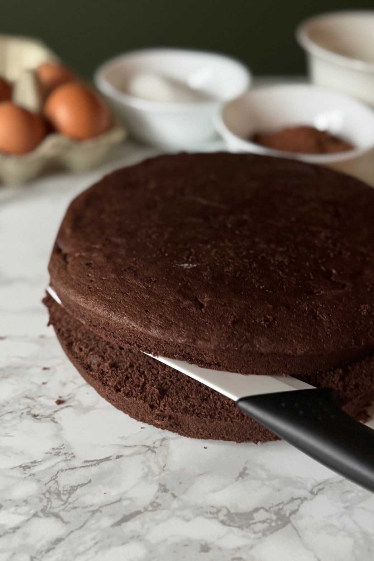 Italian chocolate sponge cake