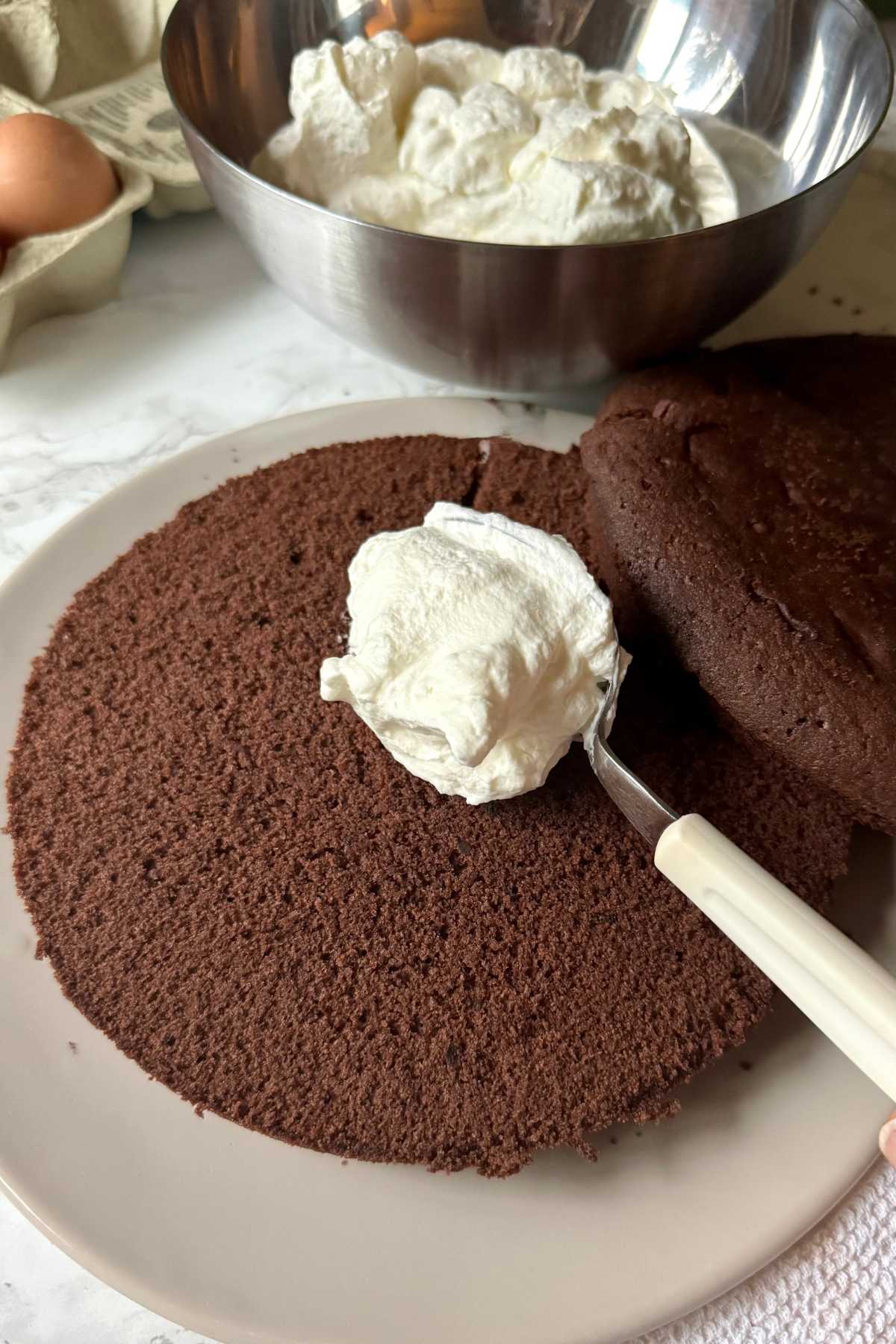 Italian chocolate sponge cake