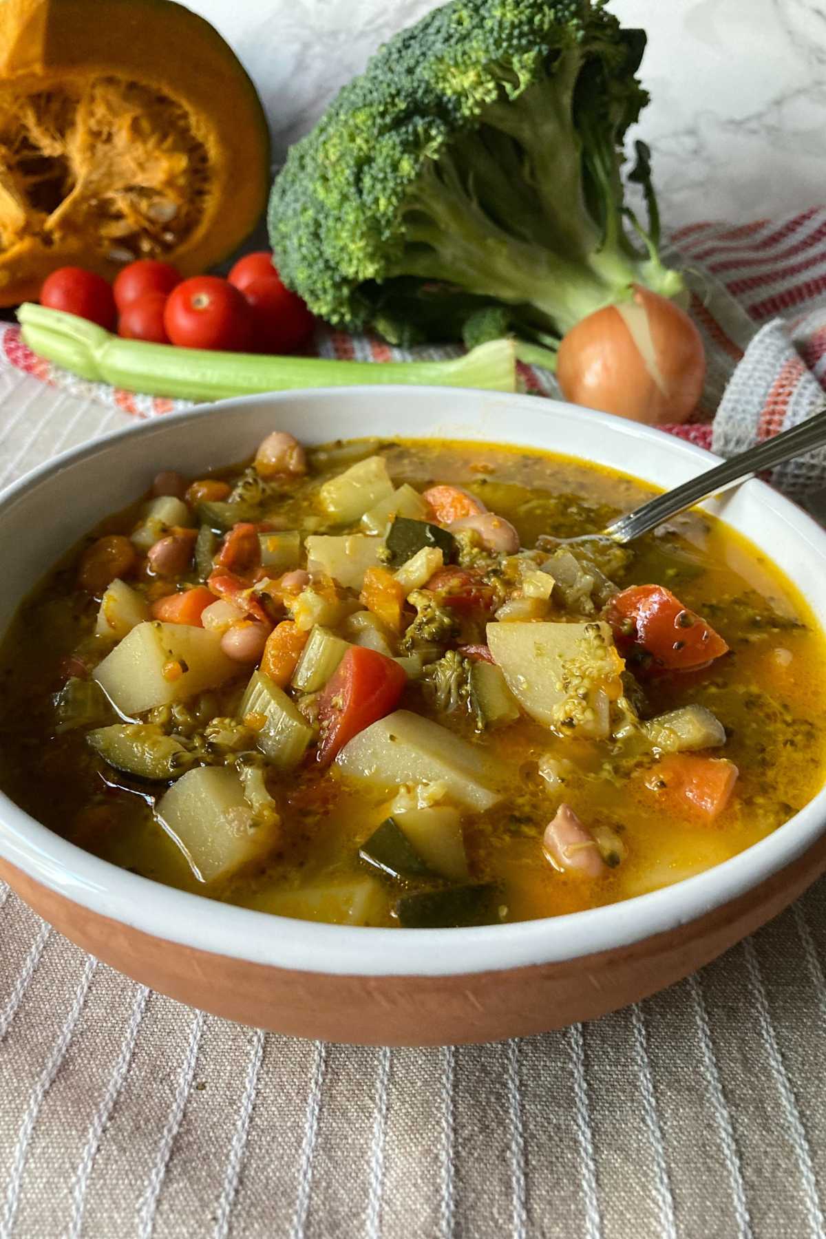classic Italian minestrone soup