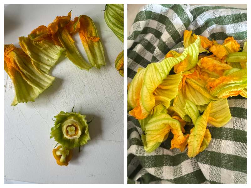 zucchini flower pasta recipe step 2