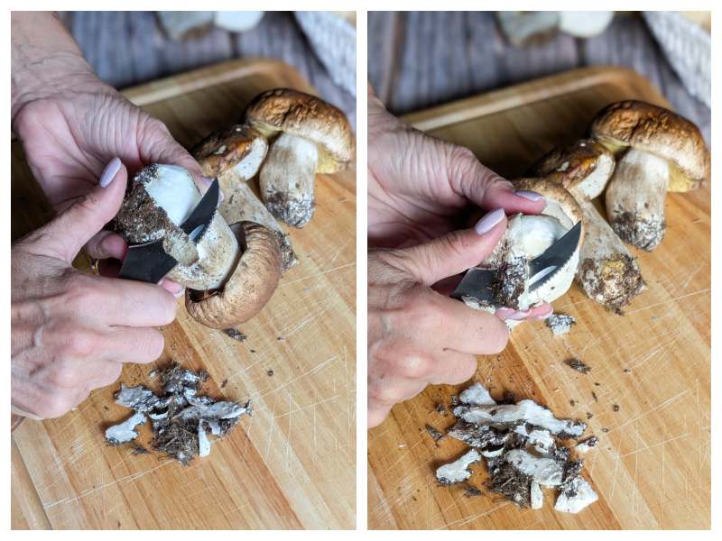 how to clean porcini mushrooms step 1