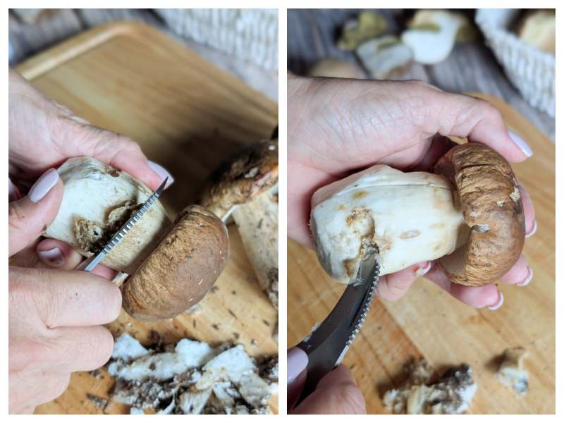 how to clean porcini mushrooms step 2