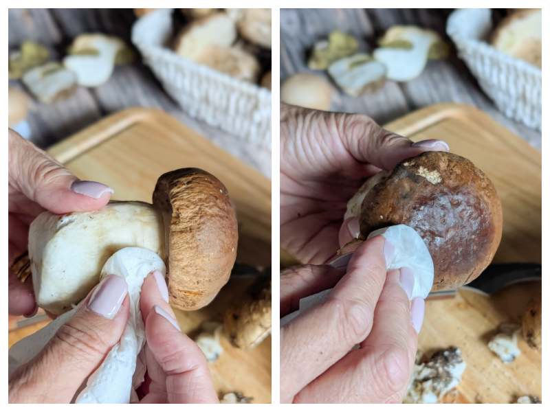how to clean porcini mushrooms step 4