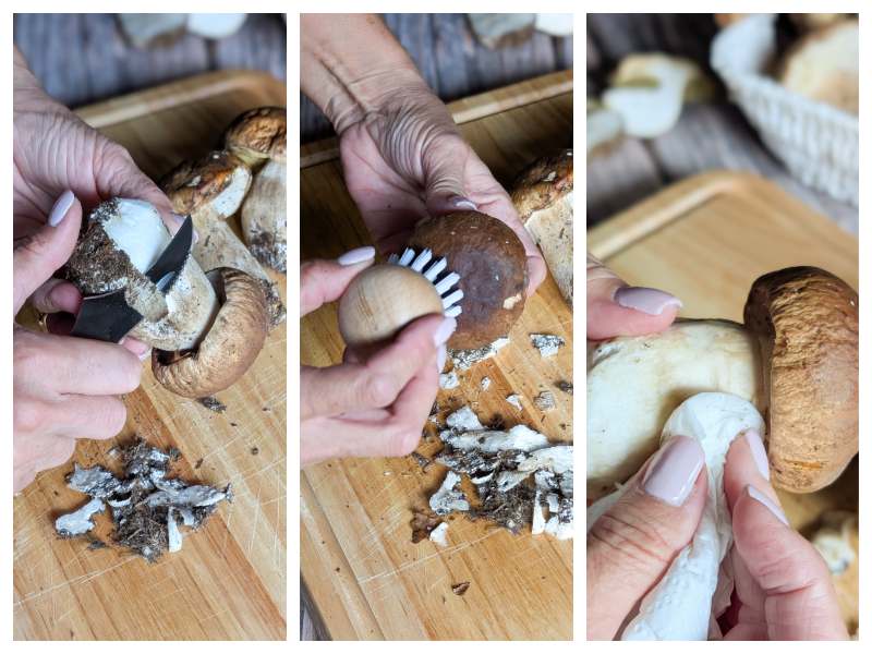 how to clean porcini mushrooms