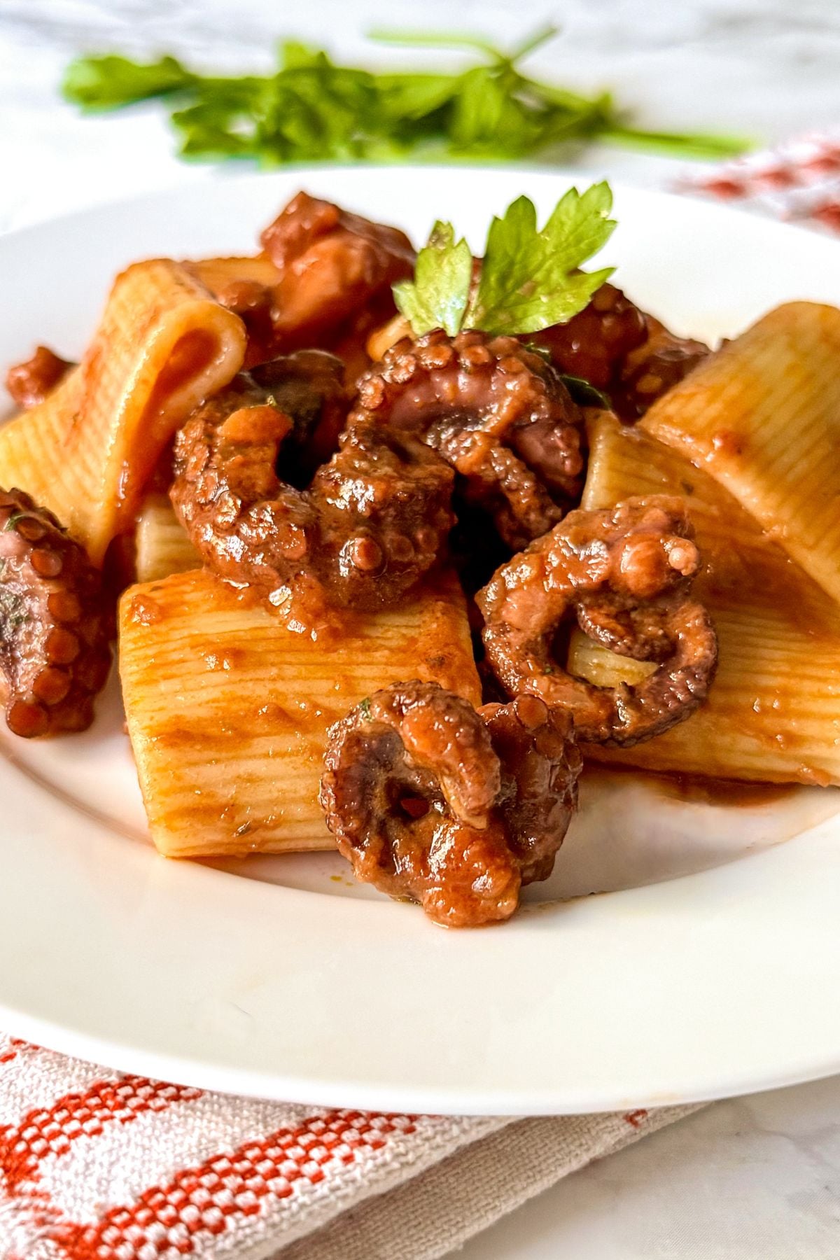 paccheri with octopus ragu