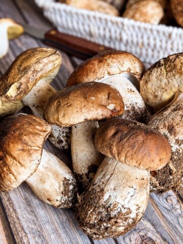 Fresh porcini mushrooms before cleaning