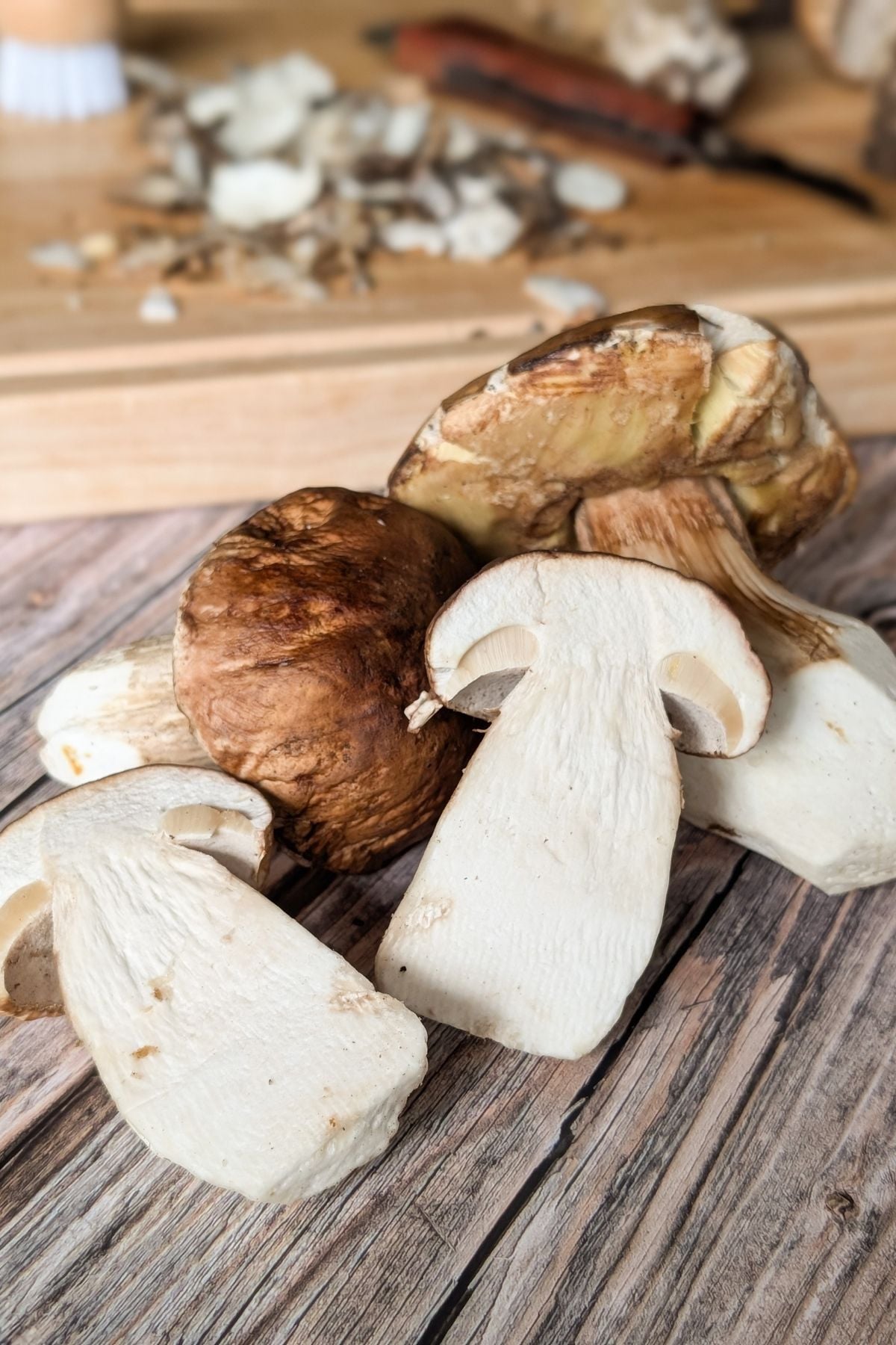 porcini mushrooms