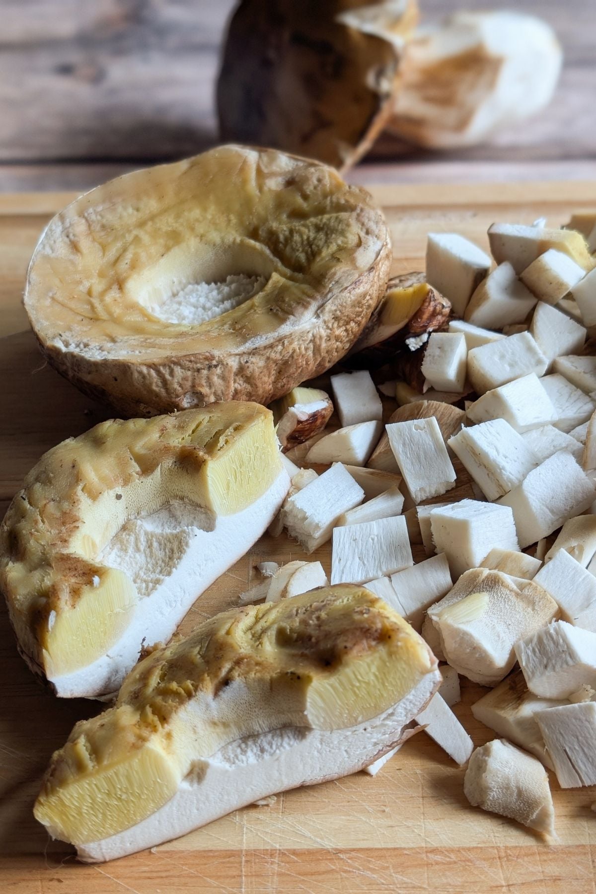 porcini mushrooms