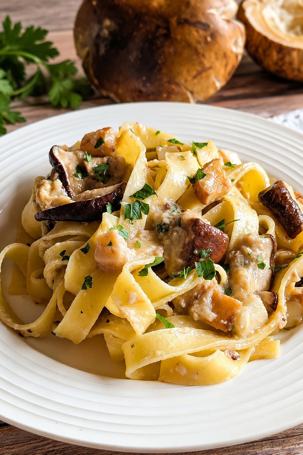 tagliatelle with porcini mushrooms