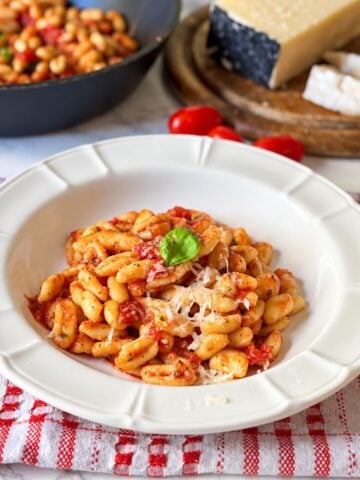 Traditional Cavatelli al Sugo Vedovo with tomato sauce, Italian lardo, grated pecorino and fresh basil